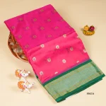 Semi Narayanpet Pattu