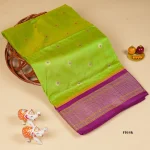 Semi Narayanpet Pattu